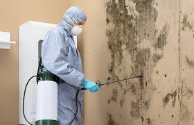 Best Airborne Mold Testing  in Passaic, NJ